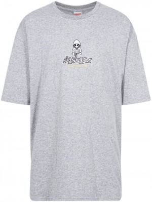Supreme Alien Corta-sleeve Grises | ZOJB6339