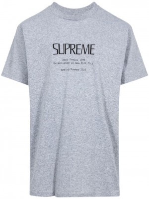 Supreme Anno Domini Algodon Grises | QVIV7288