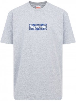 Supreme Bandana Box Logo Grises | TBDM1268