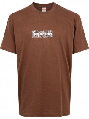 Supreme Bandana Box-logo "Fw19" Marrom | IQLM1297