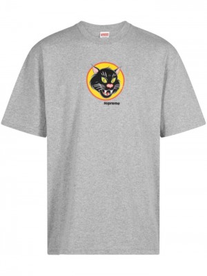 Supreme Black Cat Algodon Grises Claro | HQDP4211