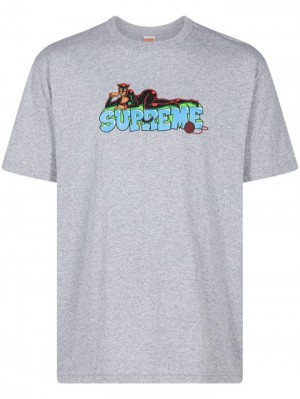 Supreme Catwoman Estampados-print Grises | LIYY4514