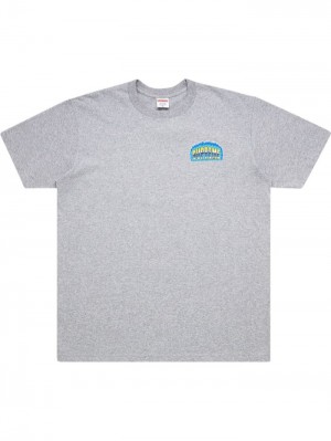 Supreme Chrome Crew-neck Grises | MRDX1154