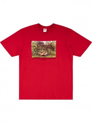 Supreme Masterpieces Crew-neck Rojos | QKTV3102