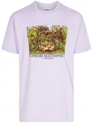 Supreme Masterpieces Estampados-print Morados | NASW5932