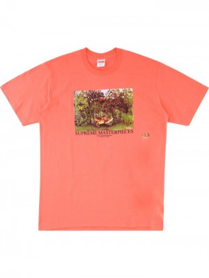Supreme Masterpieces Estampados-print Naranjas | DKLY3892