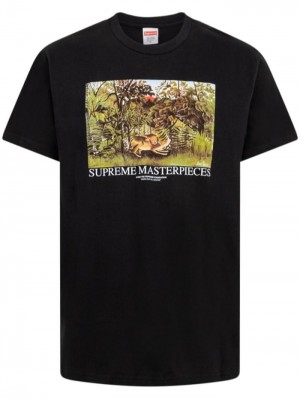 Supreme Masterpieces Estampados-print Negros | FGSH7292
