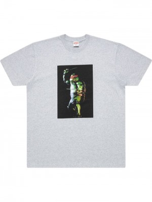 Supreme Raphael Estampados-print Grises | XRUN7701