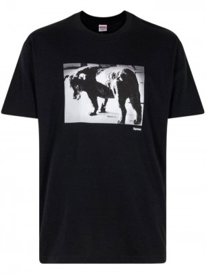 Supreme X Daido Moriyama Dog-print Negros | VBMD5003