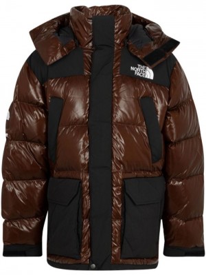 Supreme X The North Face 700-fill Down Parka Marrom | YALE0888
