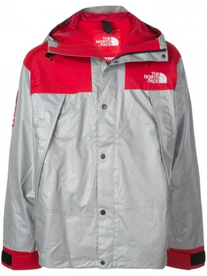 Supreme X The North Face Expedition Mountain Jacket Plateados | QCDY9945