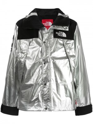 Supreme X The North Face Metallic Mountain Plateados | KRTJ1965