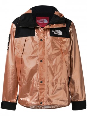 Supreme X The North Face Metallic Mountain Dorados | LGFP2361
