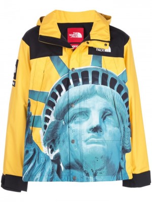 Supreme X The North Face Mountain Jacket Amarillos | MGIK4084