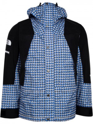 Supreme X The North Face Mountain Light Azules | GHKG0411