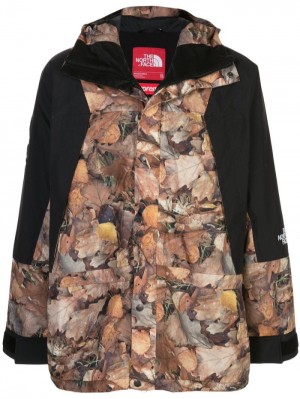 Supreme X The North Face Mountain Light Sneakers Negros | HSWP9312