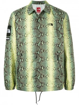 Supreme X The North Face Snakeskin-print Taped Seam Shirt Verdes | YXPZ0434